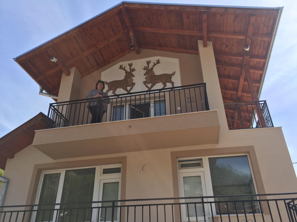 Elenite Guesthouse Goţe Delcev Exterior foto